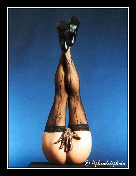 14 Hommage à Craig Morey 1
